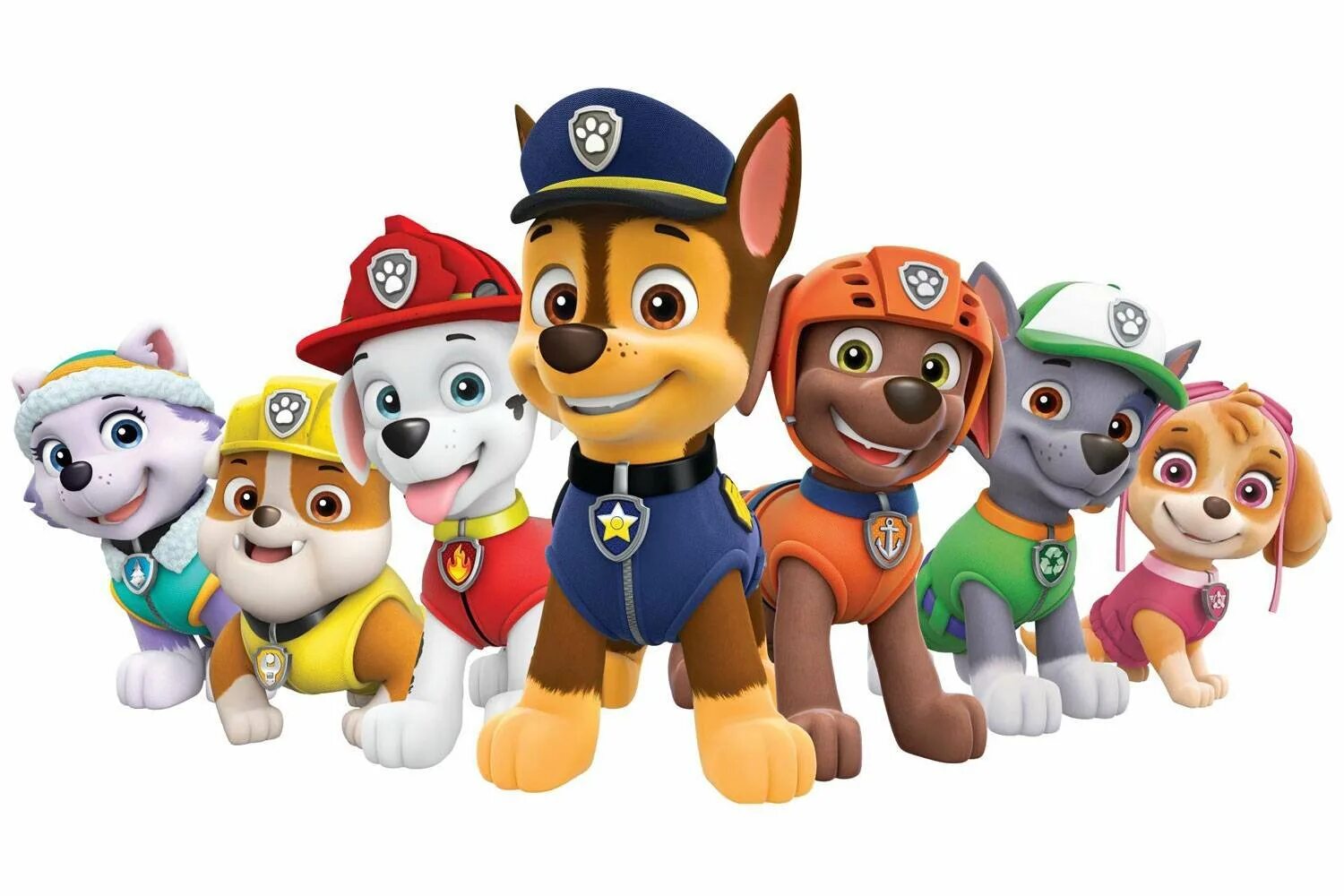 Патруль иви. Paw Patrol. Суперпатруль. Щенячий патруль. Щенячий патруль герои мультфильма.