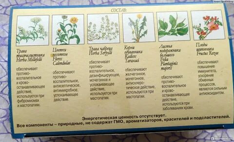 Мастофитон отзывы