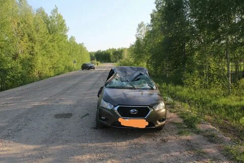 Дром каргат
