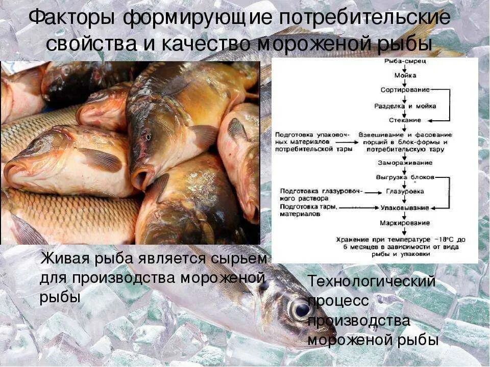 Качество мороженой рыбы