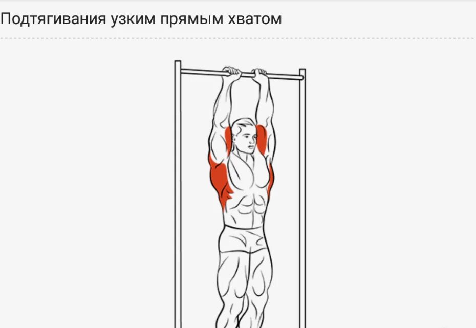 Подтягивания обратным хватом какие. Подтягивания узким обратным хватом. Подтягивания узким хватом. Подтягивания обратным хватом узким хватом. Узкие подтягивания.