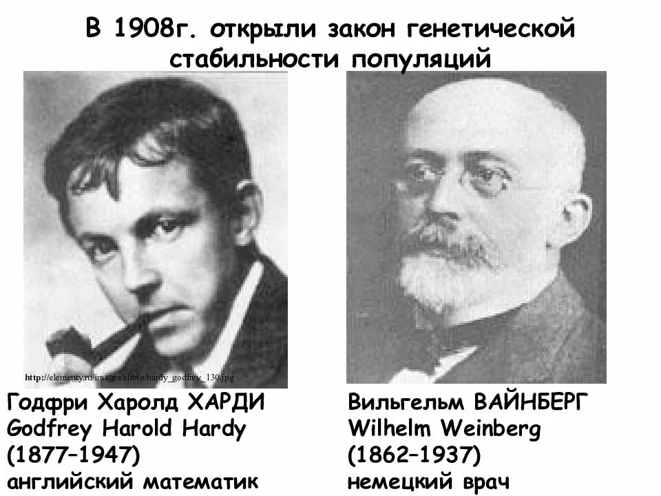 Харди Вайнберга. Вайнберг биолог. Харди Вайнберга ученые. Годфри харди