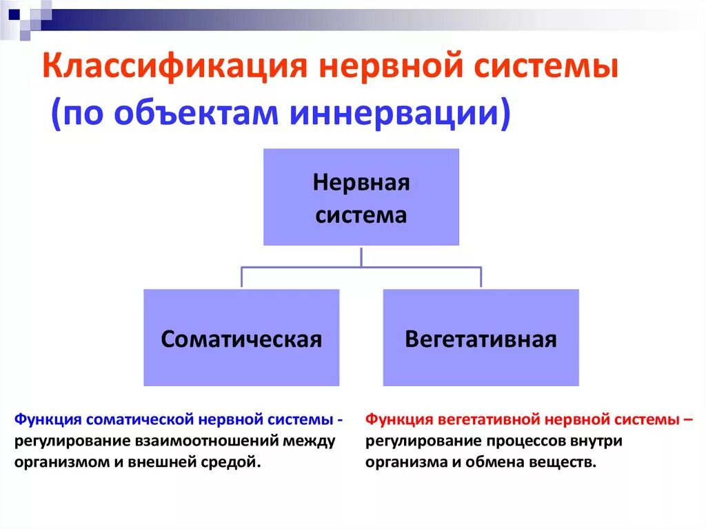 Картинки НАРУШЕНИЕ ПЕРИФЕРИЧЕСКОЙ ФУНКЦИИ НЕРВНОЙ СИСТЕМЫ