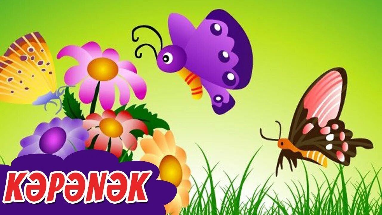 Три бабочки читать. Три бабочки читать