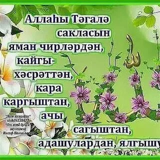 Сез кайда