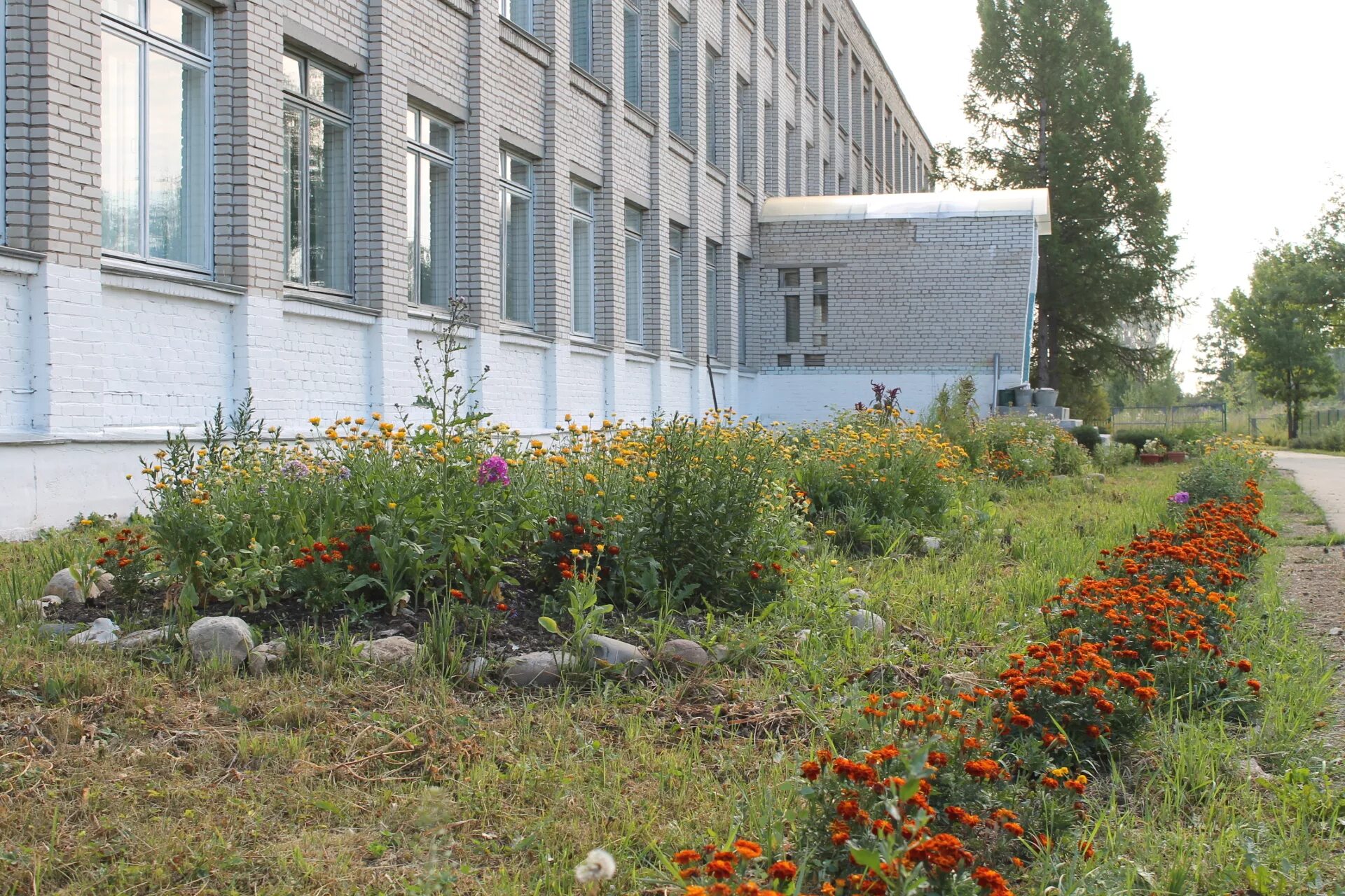 Сайты школ новгородской области. Школа поселка Угловка. Школа п Угловка Окуловский район. Общеобразовательная школа МАОУ средняя школа пос. Угловка. Угловка Новгородская область школа.