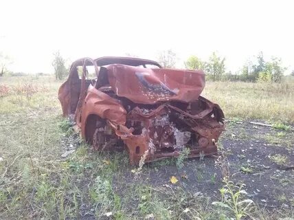 Сгоревшая калина
