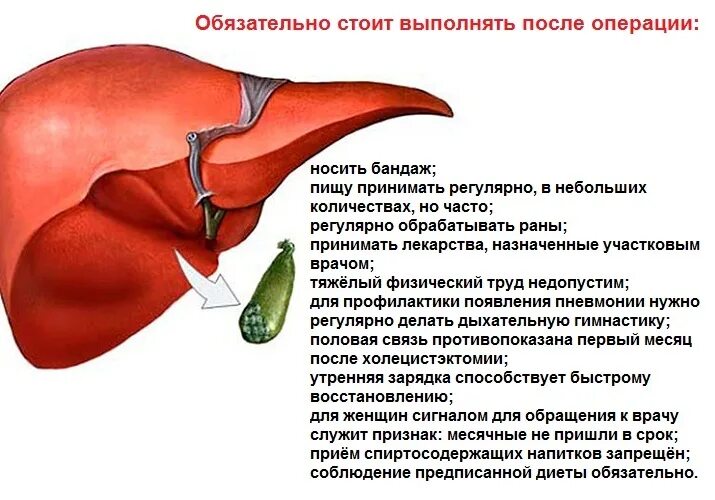 Как почистить печень и желчные протоки эффективно