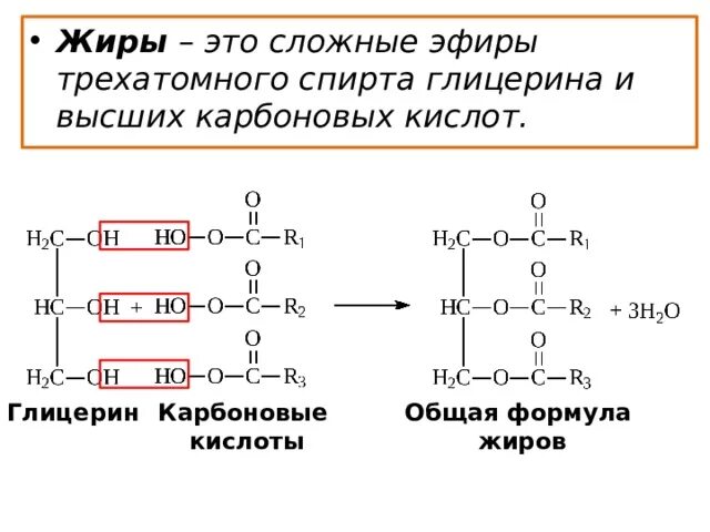 Получение жиров из глицерина и карбоновых кислот. Глицериновая кислота структурная формула. Сложные эфиры трехатомного спирта. Сложные эфиры трёх атомного спирта.