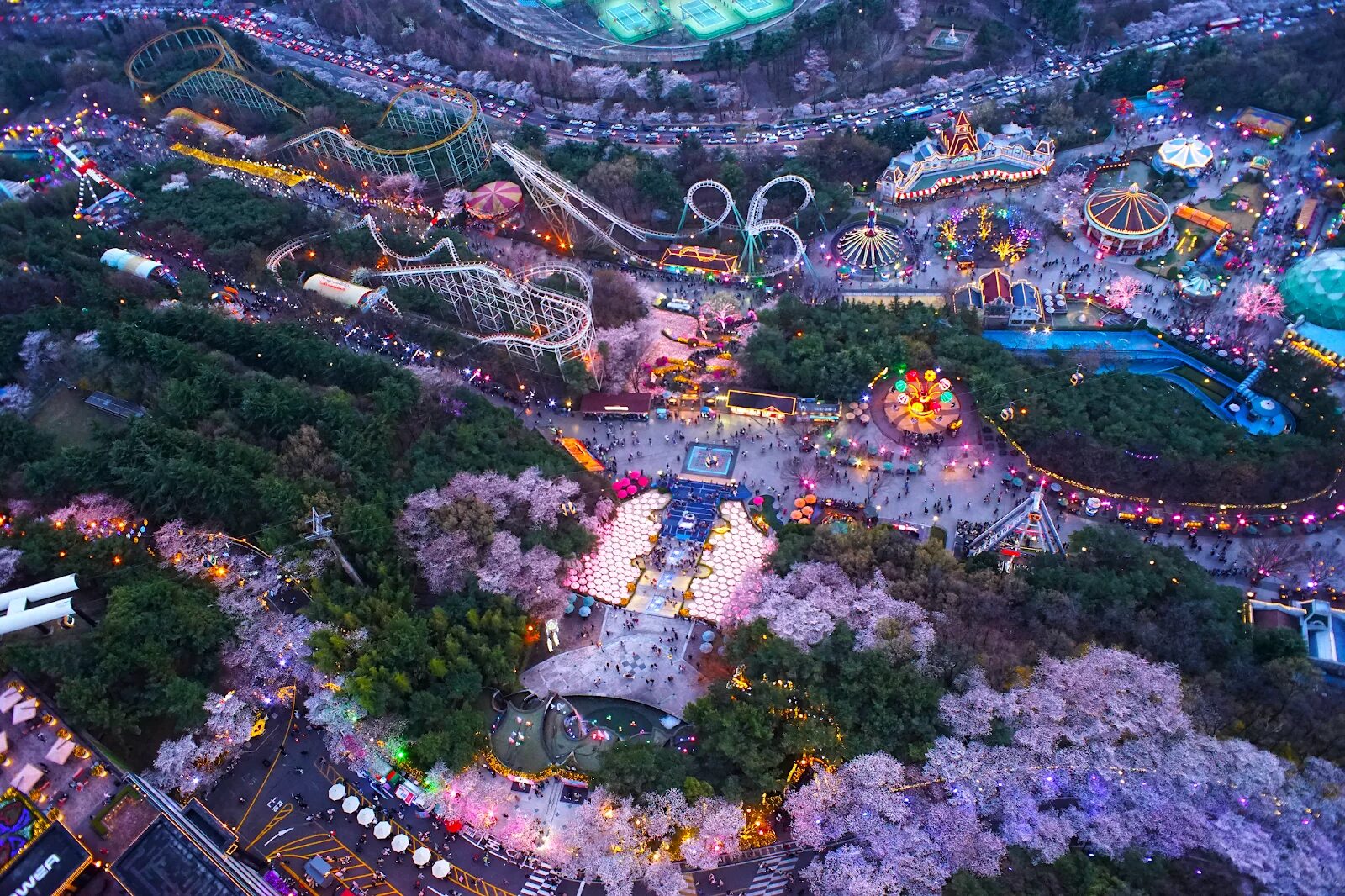 Тематический парк хонкай. Сеул парк аттракционов Everland. Южная Корея парк Эверленд. Эверленд Сеул аттракционы. Парк Lotte World в Сеуле.