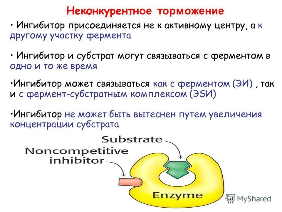 Белки активаторы и белки ингибиторы презентация