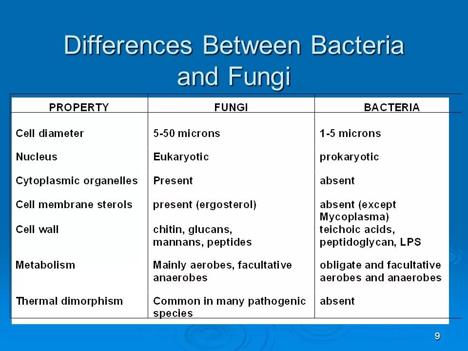 Difference between. Bacteria structure. Function bacteria.