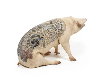 ВИМ Дельвуа свинья с татуировкой
