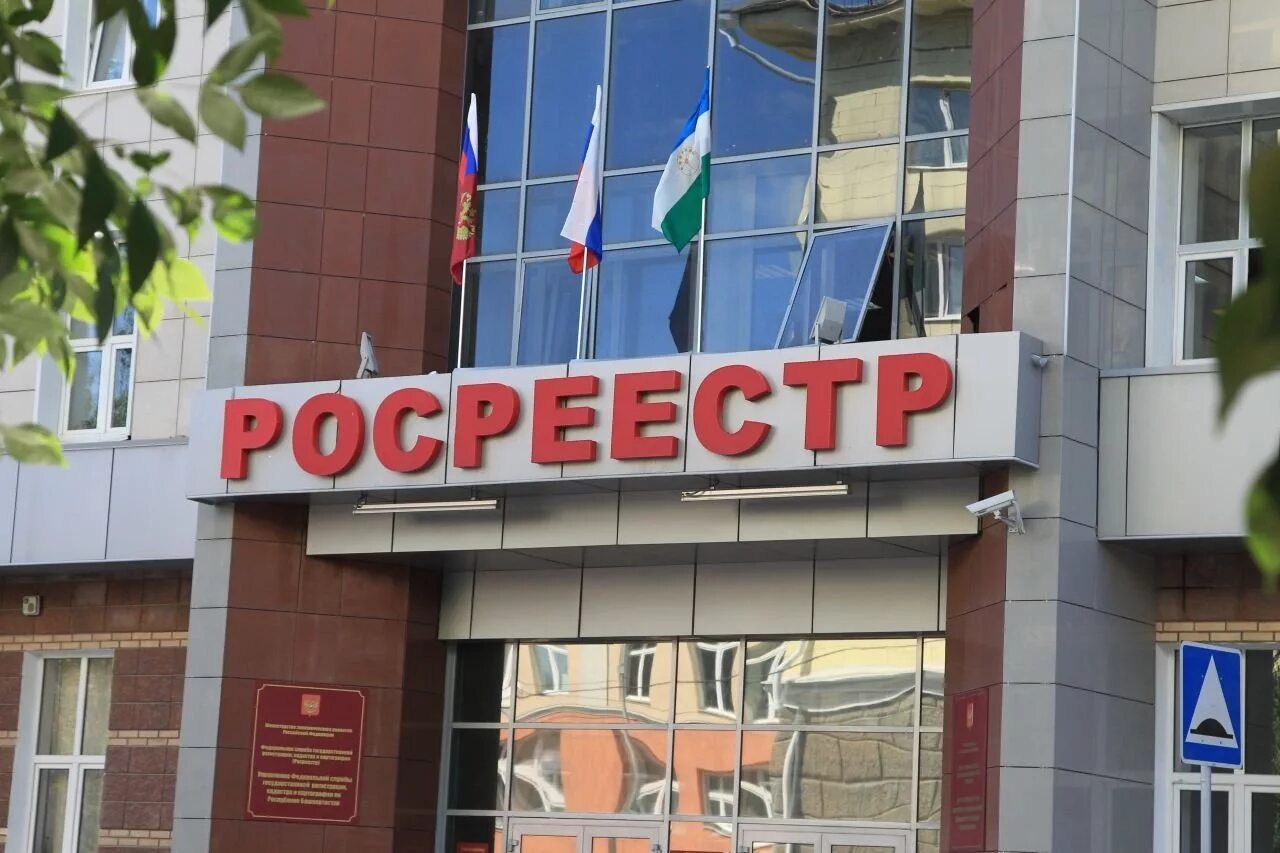 Росреестр. Управление Росреестра. Здание Росреестра. Картинка Росреестра.