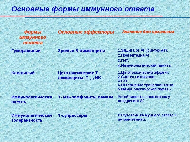 Механизм развития клеточного иммунного ответа. Схема этапы специфического иммунного ответа. Типы иммунного ответа. Реакции иммунитета таблица. Механизм формирования иммунных реакций.