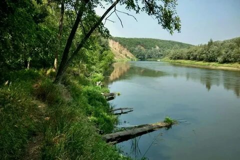Река волгоград телефон