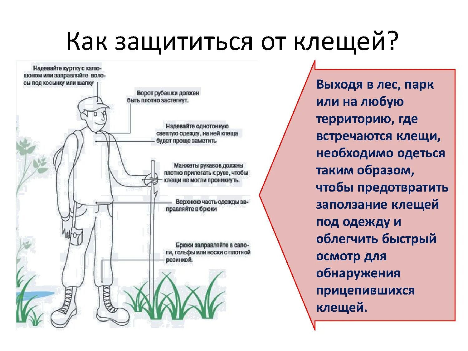 Как защититься от клещей на природе. Как защитсяся от коещей. Как защититься от клещей. Способы защиты от укусов клещей. Как защититься от клещей картинки.