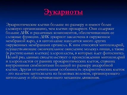 Клетки эукариотических организмов это
