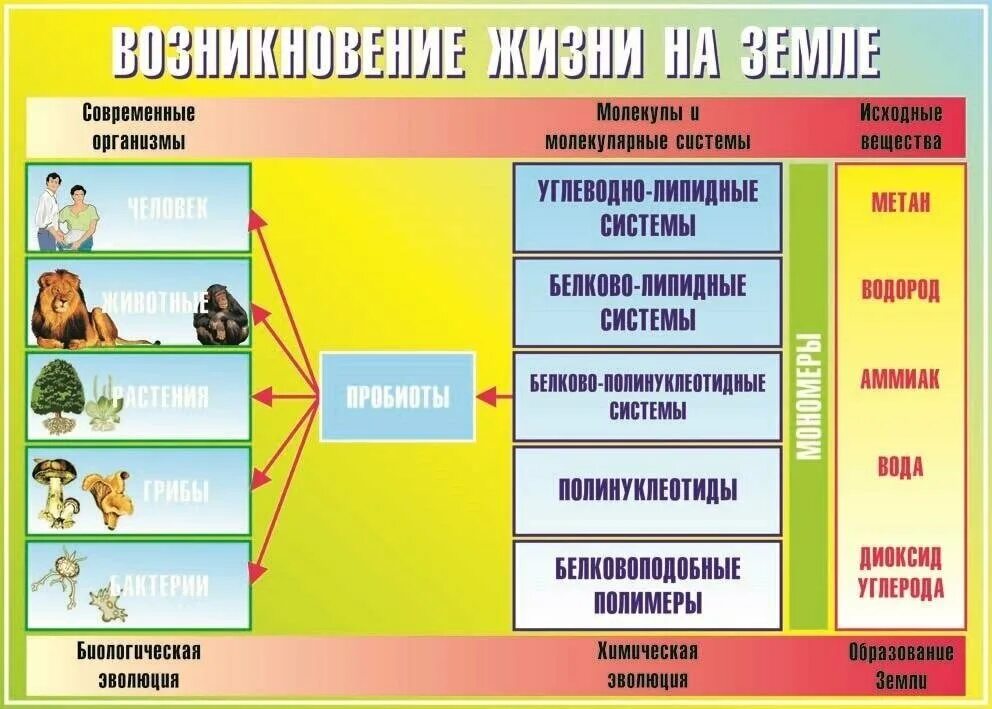 Таблица по философии история философии. Таблица возникновение. Человек заполняет таблицу. Таблица возникновение. Таблица возникновение.