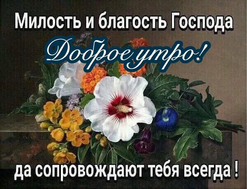 Милость обновляется. По милости господа мы не исчезли ибо милосердие. Милость обновляется. Если человек оправдывается. Милость обновляется.