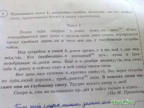 Полна тайн хмурая. Полна тайн хмурая тишина зимнего леса светло. Полна тайн сумрачно-хмурая тишина зимнего леса грамматическая основа. Полна тайн сумрачно-хмурая тишина зимнего. Полна тайн хмурая тишина зимнего леса синтаксический разбор.