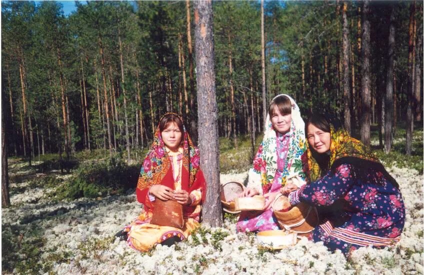 Обско угорские народы. Ханты и манси в ХМАО. Собирательство Ханты и манси. Ханты и манси сбор ягод. Ханты манси народность.