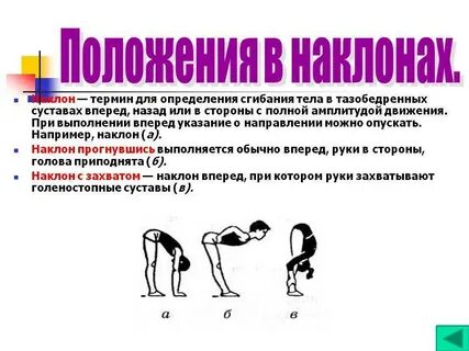 Наклоны туловища и сгибания рук