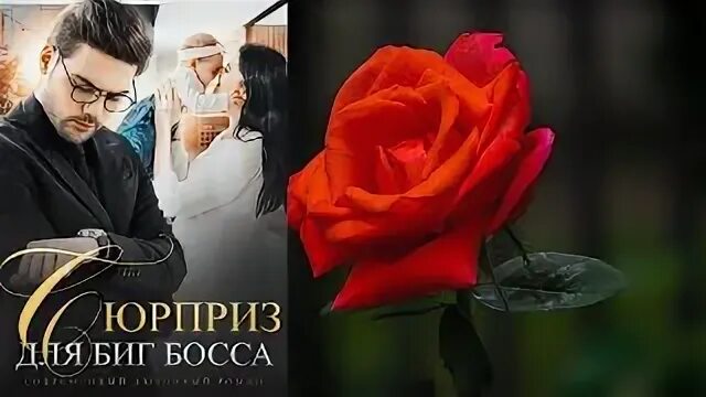 Дурнушка для биг босса аудиокнига