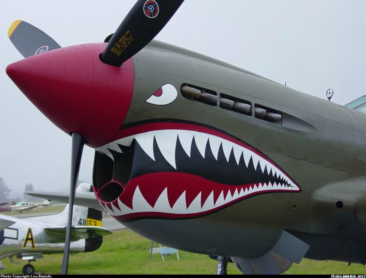 P-40 warhawk. Самолет с зубами. Акула самолет тревор. Самолет пасть. P-40 fighter.