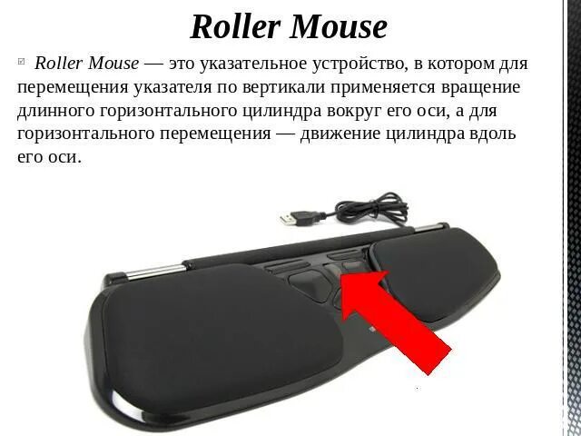 Rolling mouse. Rolling mouse