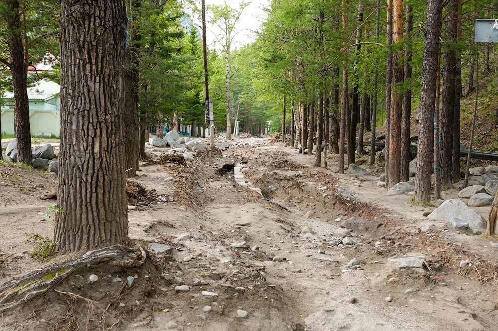 Прогноз аршан на неделю. Прогноз аршан на неделю. Старый аршан. Прогноз аршан на неделю. Гольцы восточных саян.