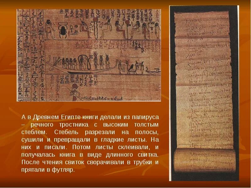 Папирус информация. Древний египет тростник папирус письменность. письменность в египте на папирусе. документы древнего египта. древние книги папирус.
