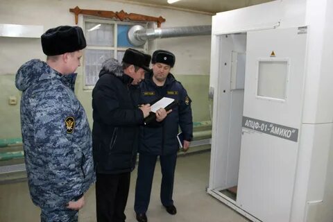 Сизо гуфсин