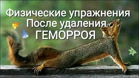 Сколько реабилитация после удаления геморроя