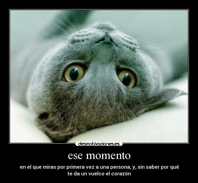 высказывания о жизни. умные мысли цитаты. красивые высказывания в картинках. мысли цитаты. спокойные мысли.