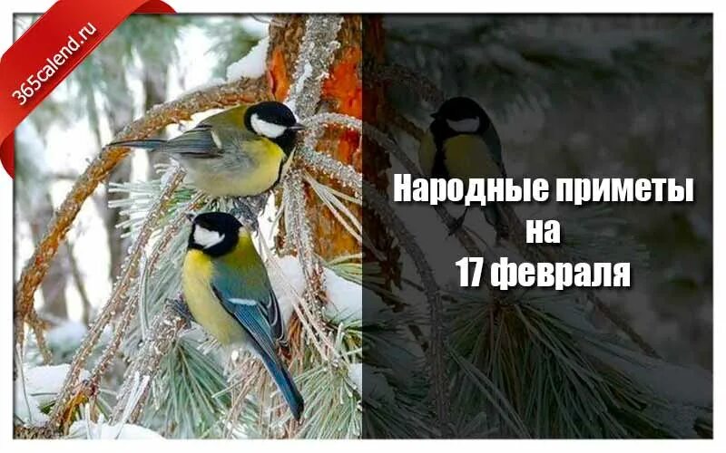 Народные приметы на 4 февраля 2024. Народные приметы на 4 февраля 2024. Мартинианов день 26 февраля. 24 февраля праздник. 21 февраля народные приметы.