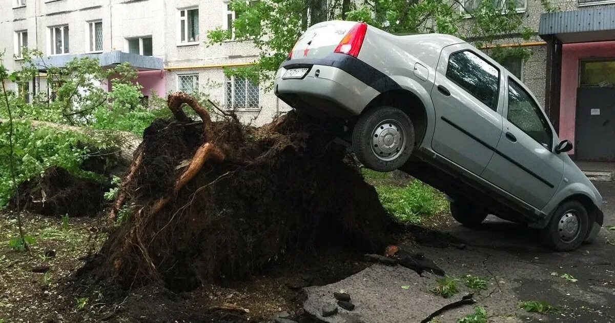 Ураган 29 май 2017 москва. Ураган в подмосковье сегодня. Ураган в москве. Ураган в подмосковье сейчас. Ураган в подмосковье 1998.