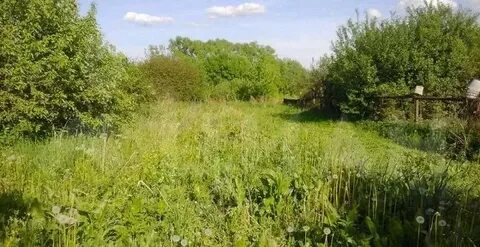 Погода огородниково рязанская область спасский