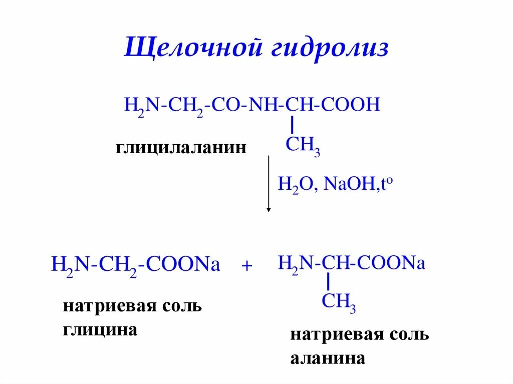 Гидролиз coona. Гидролиз глициналанина. Глицин гидролиз. Гидролиз глицилаланина уравнение. Глицин аланин гидролиз.