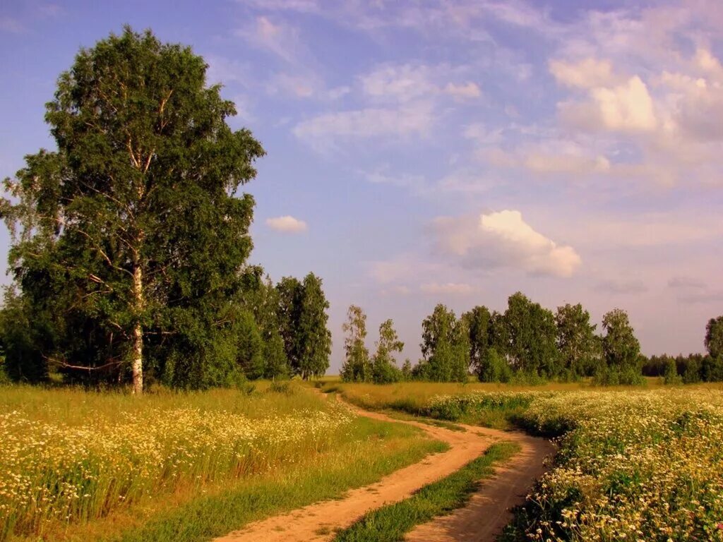 Родной край нижегородской области. Уголки природы Владимирского края. Пейзажи Нижегородской области. Владимирская природа. Природа Владимирской области.