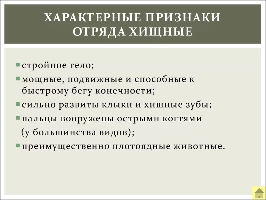 Отряд Хищные признаки отряда. Характеристика отряда Хищные. Характерные признаки хищных. Характеристика отряда Хищные млекопитающие.