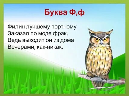 Ф филин