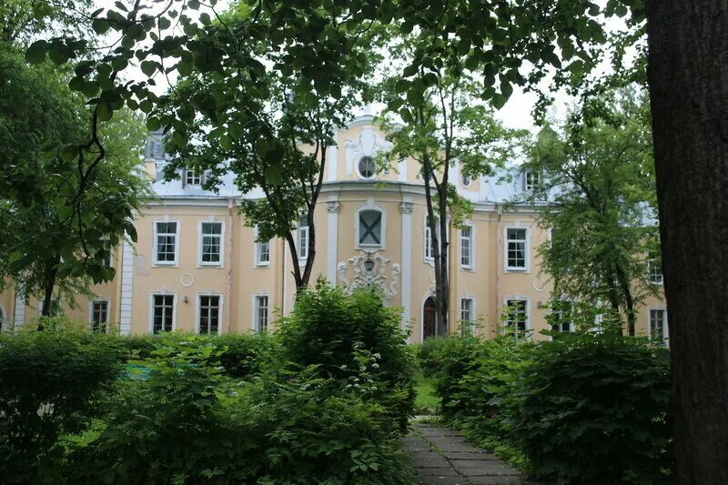 военно морское училище имени попова в петергофе. попова. общежитие спбгу в петергофе. михайловская дача спбгу. с.