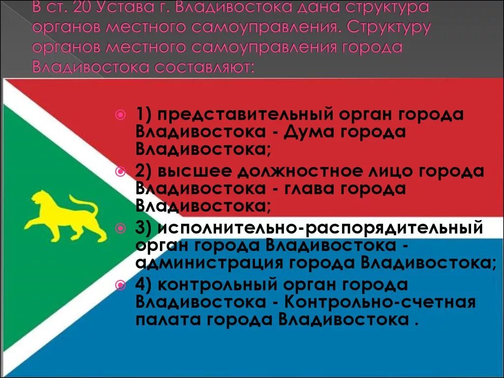 Управление образования владивосток. Местное самоуправление Владивостока. Органы местного самоуправления Приморского края. Устав города Владивостока. Структура устава Владивостока.