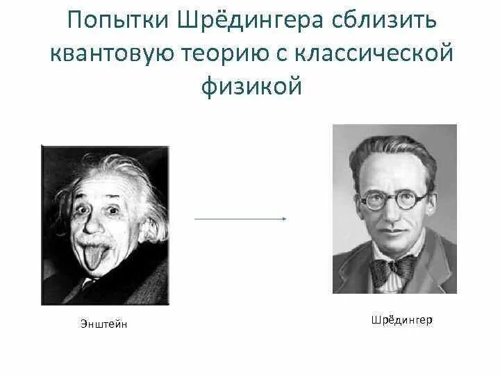 Шредингер жизнь с точки зрения физики. Нейроквантовую теорию создал. шредингер и эйнштейн. шредингер вклад в квантовую механику. нейроквантовая теория психология.
