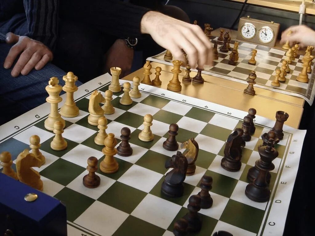 Виды шахматных игроков