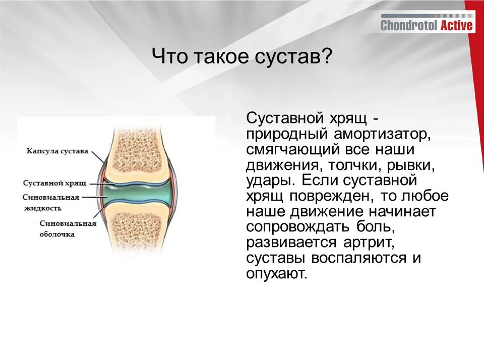 Суставный хрящ какая ткань. Строение сустава. Суставной хрящ строение и функции. Межсуставной хрящ.