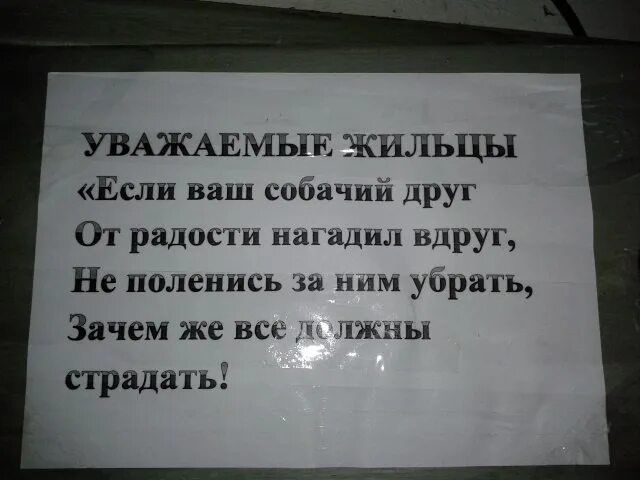 Гадят в подъезде объявления. Собаки гадят в подъезде объявление. Объявление не гадить в подъезде. Объявление о животных в подъезде. Почему убираете русский