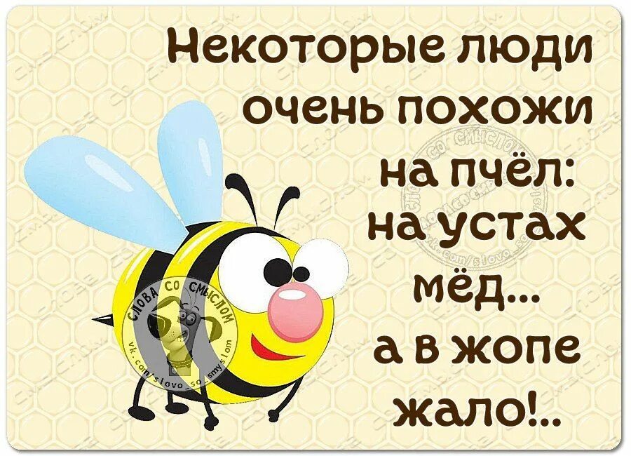 Твоими да мед пить. Некоторые люди похожи на пчел. Фразы про пчел. Афоризмы про пчел. Высказывания о пчелах.