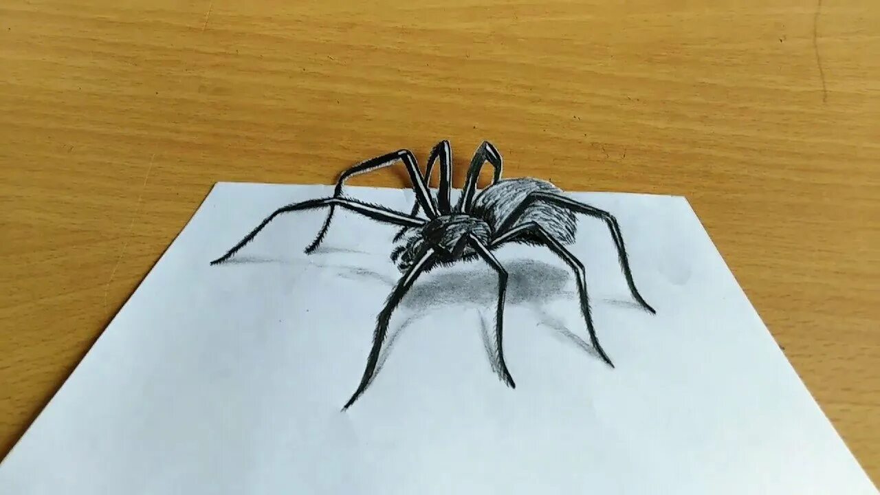 Паук 3д. Паук 3д ручкой. паук 3d ручкой. паук 3д рисунок. рисованный паук 3д.